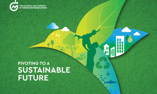 NGC Sustainability Report 2021—Highlight Reel