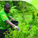 Alpha Sennon going Above and Beyond for Agriculture