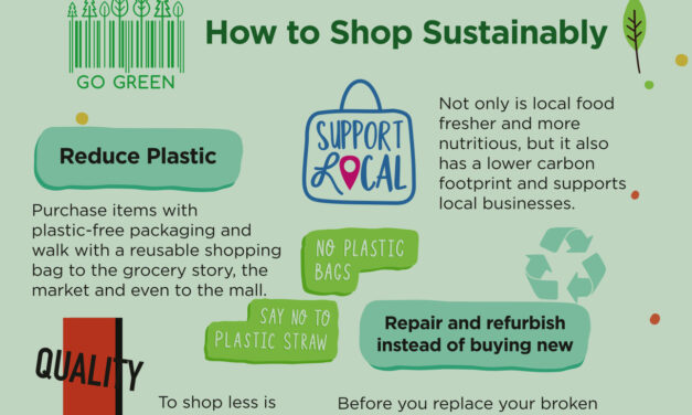 Sustainable Living: How to Shop, Dress, Play, and Consume more Sustainably