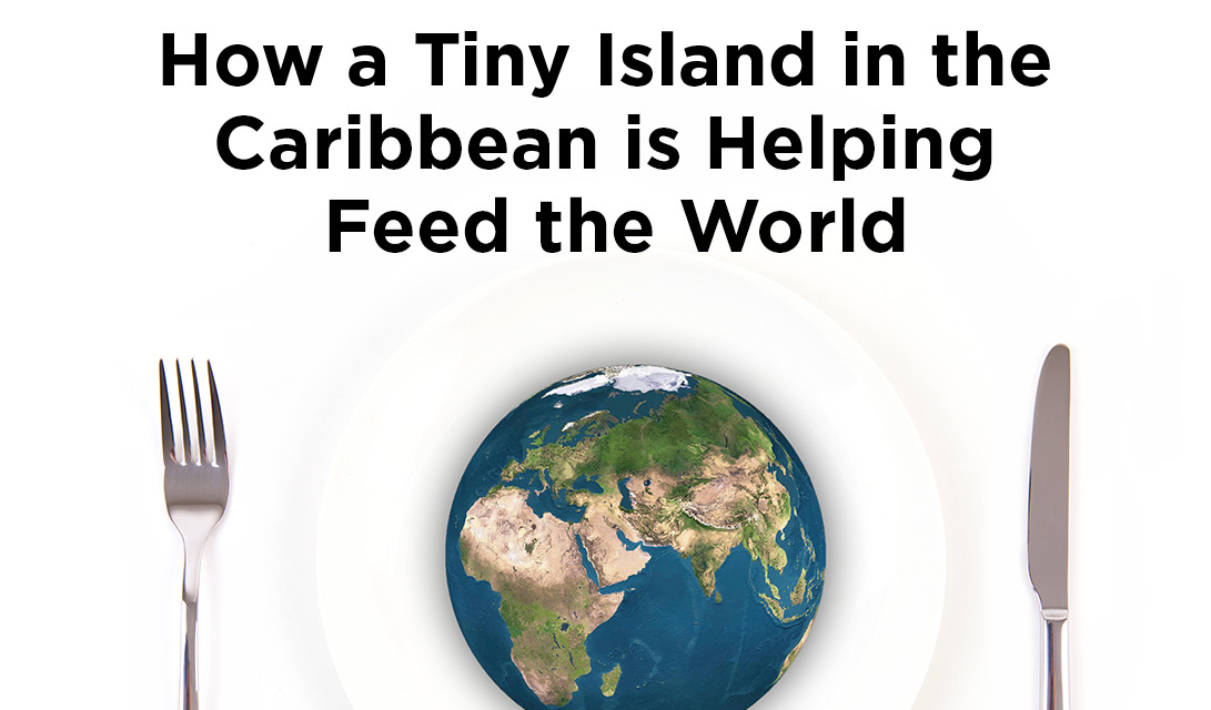 How a Tiny Island in the Caribbean is helping Feed the World