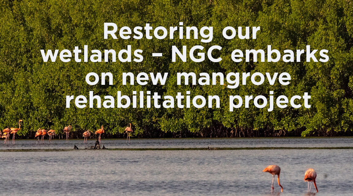 Restoring Our Wetlands—NGC embarks on new Mangrove Rehabilitation Project
