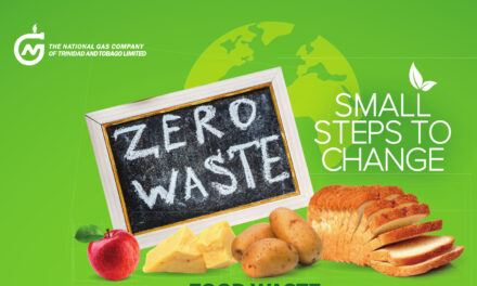 Food Waste—Small Steps to Change
