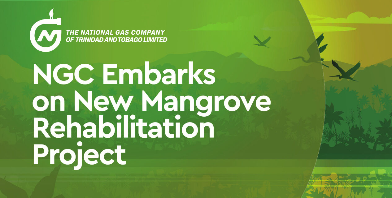 NGC Embarks on New Mangrove Rehabilitation Project
