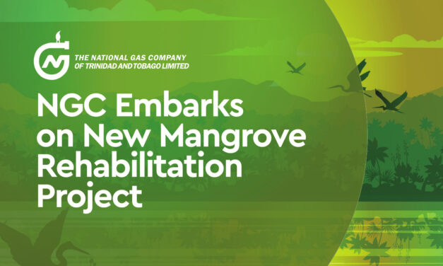NGC Embarks on New Mangrove Rehabilitation Project